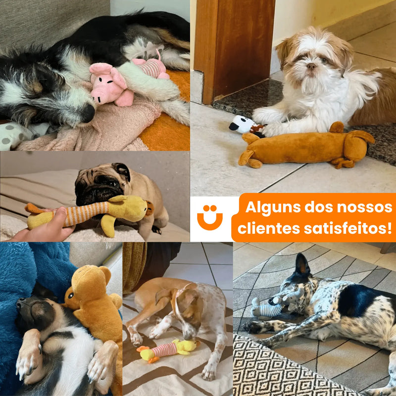 Brinquedo de Pelúcia para Cachorros Tioeasy™